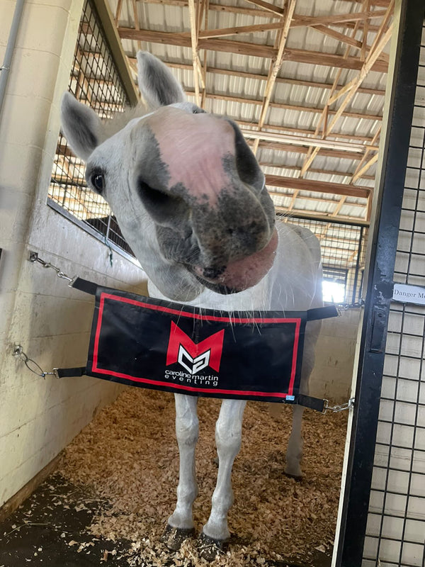 Custom stall guards barn colors Equestrian horse show Eventing Dressage