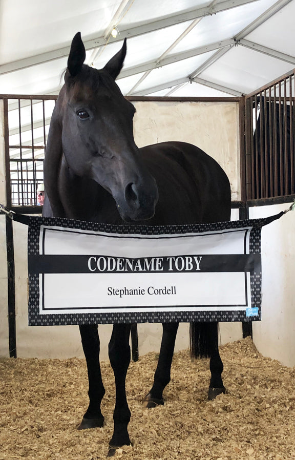 Custom Stall Guard