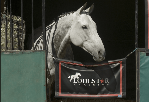 Custom Stall Guard