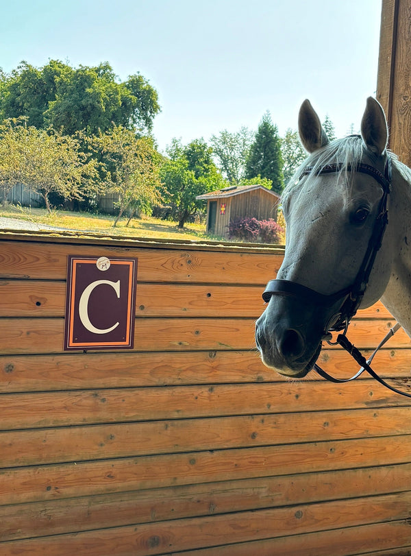 Custom Dressage Arena Letters