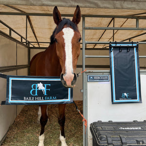 Custom stall guards barn colors Equestrian horse show Horse Trainer