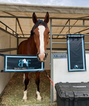 Custom stall guards barn colors Equestrian horse show Horse Trainer