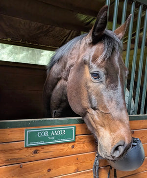 Custom Stall Plaque - Beautiful & Useful