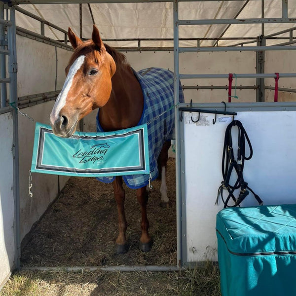 Custom Stall Guard