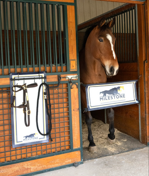 Custom Halter Guard™