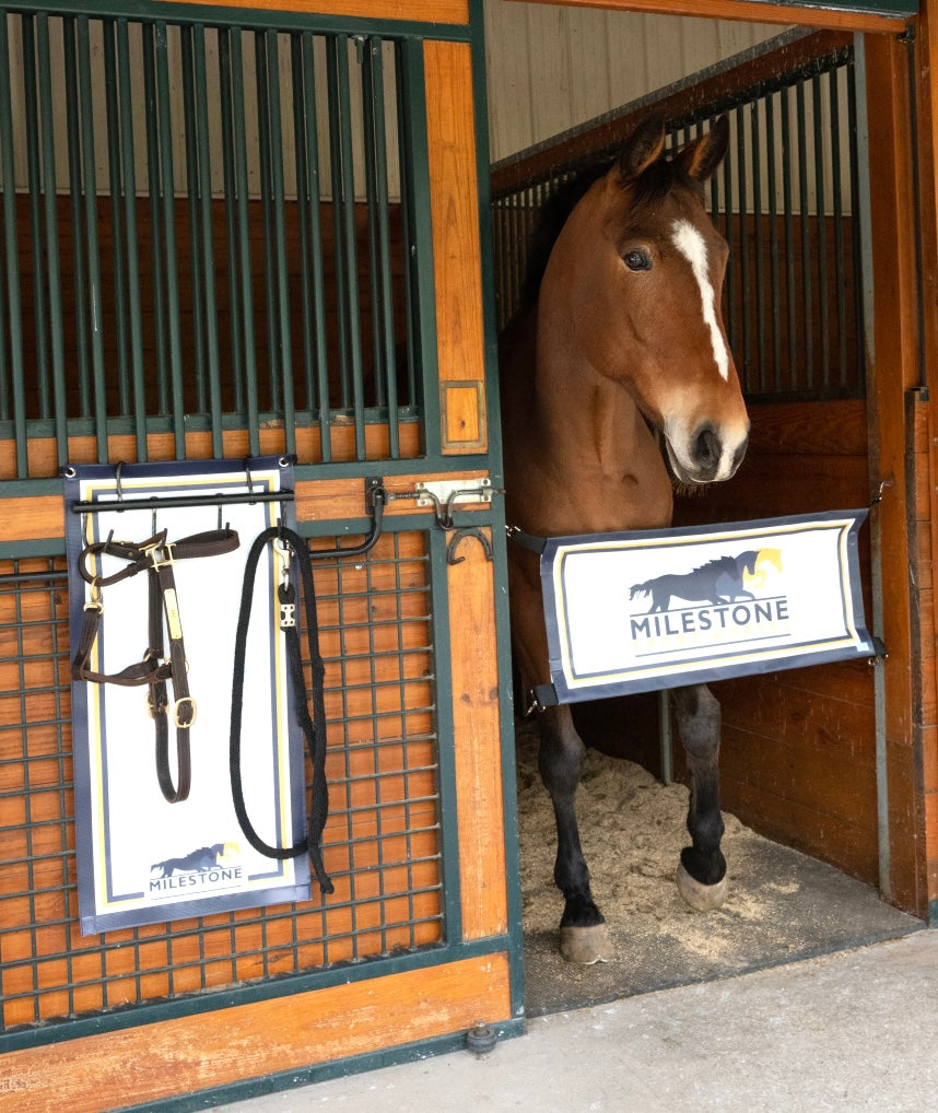 小物 DESCENDANT 24FW PLAID STALL 2 Piece Custom Stall Set – Deco Pony