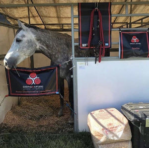 Deco Pony Custom stall guard, halter guard™  & wrap holder for horse shows
