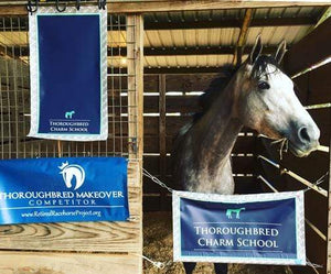 Deco Pony Custom stall guard & halter guard™ for horse shows