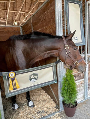 2 Piece Custom Stall Set